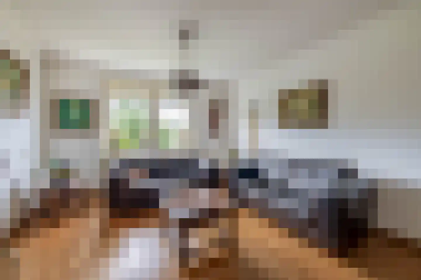 Vierpaardjes 20 Venlo thumbnail 10