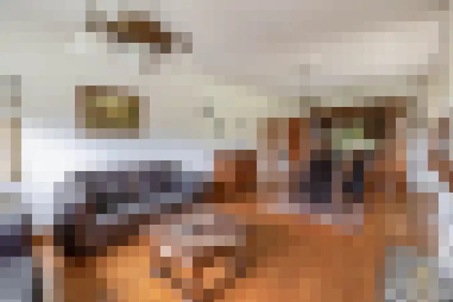 Vierpaardjes 20 Venlo thumbnail 11