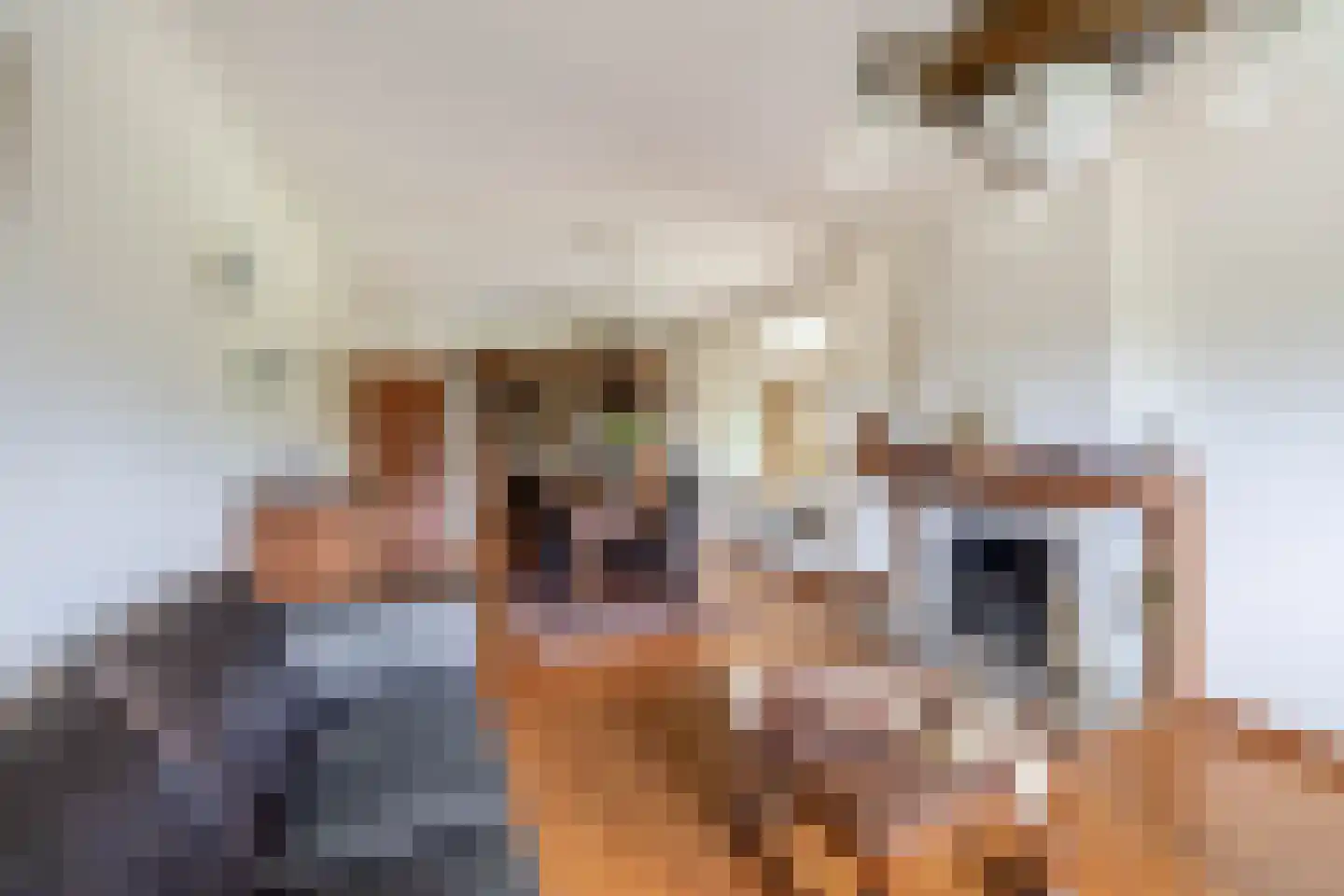 Vierpaardjes 20 Venlo thumbnail 12