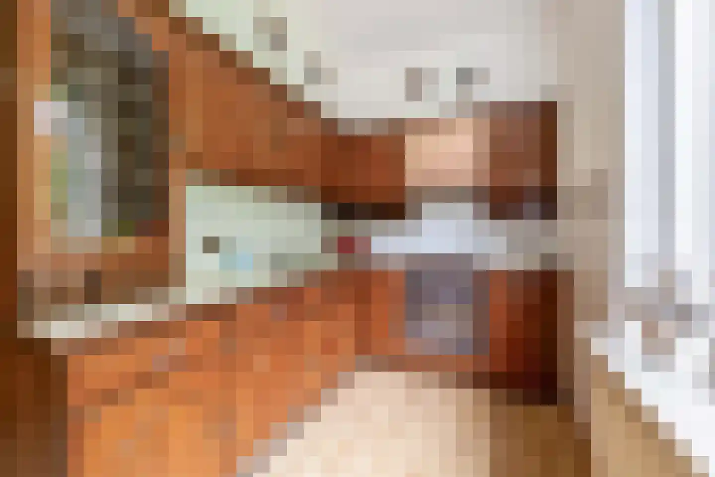 Vierpaardjes 20 Venlo thumbnail 14