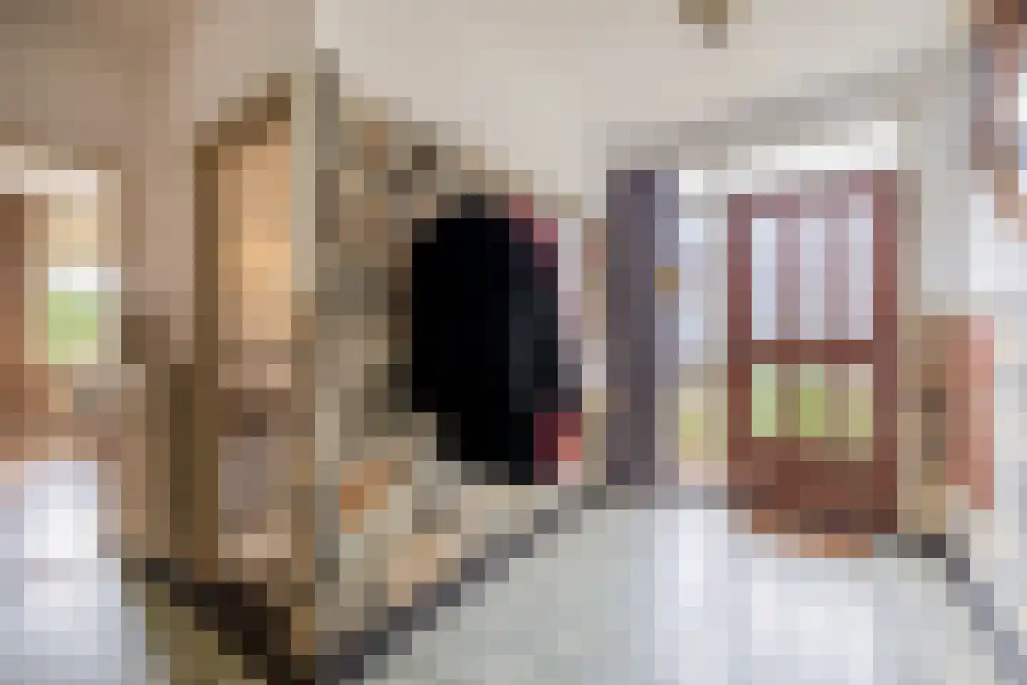 Vierpaardjes 20 Venlo thumbnail 21