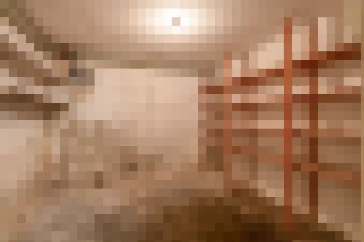 Vierpaardjes 20 Venlo thumbnail 26