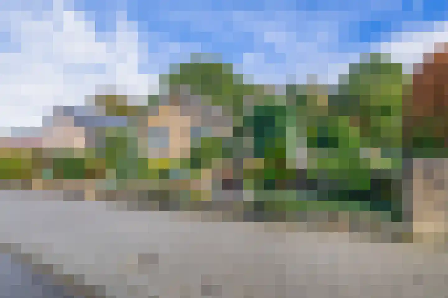 Vierpaardjes 20 Venlo thumbnail 28
