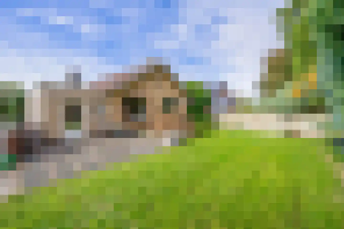 Vierpaardjes 20 Venlo thumbnail 29