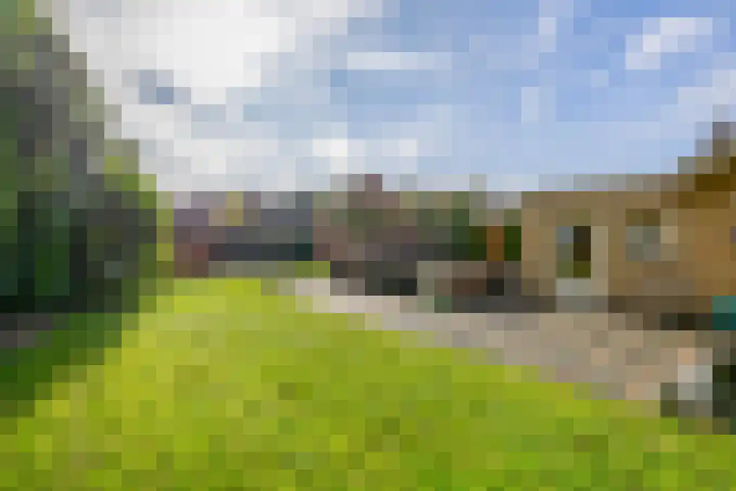 Vierpaardjes 20 Venlo thumbnail 30