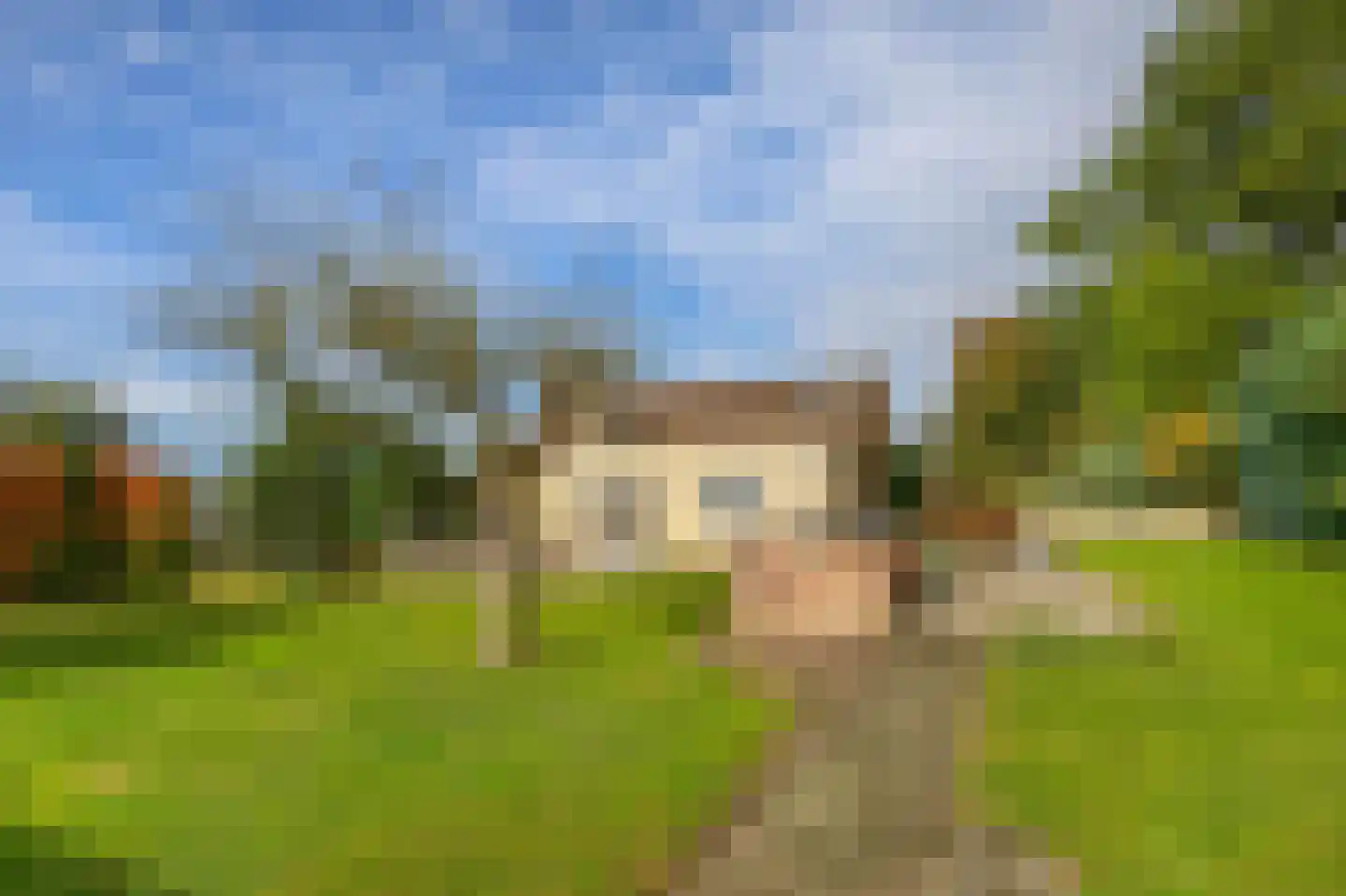 Vierpaardjes 20 Venlo thumbnail 31