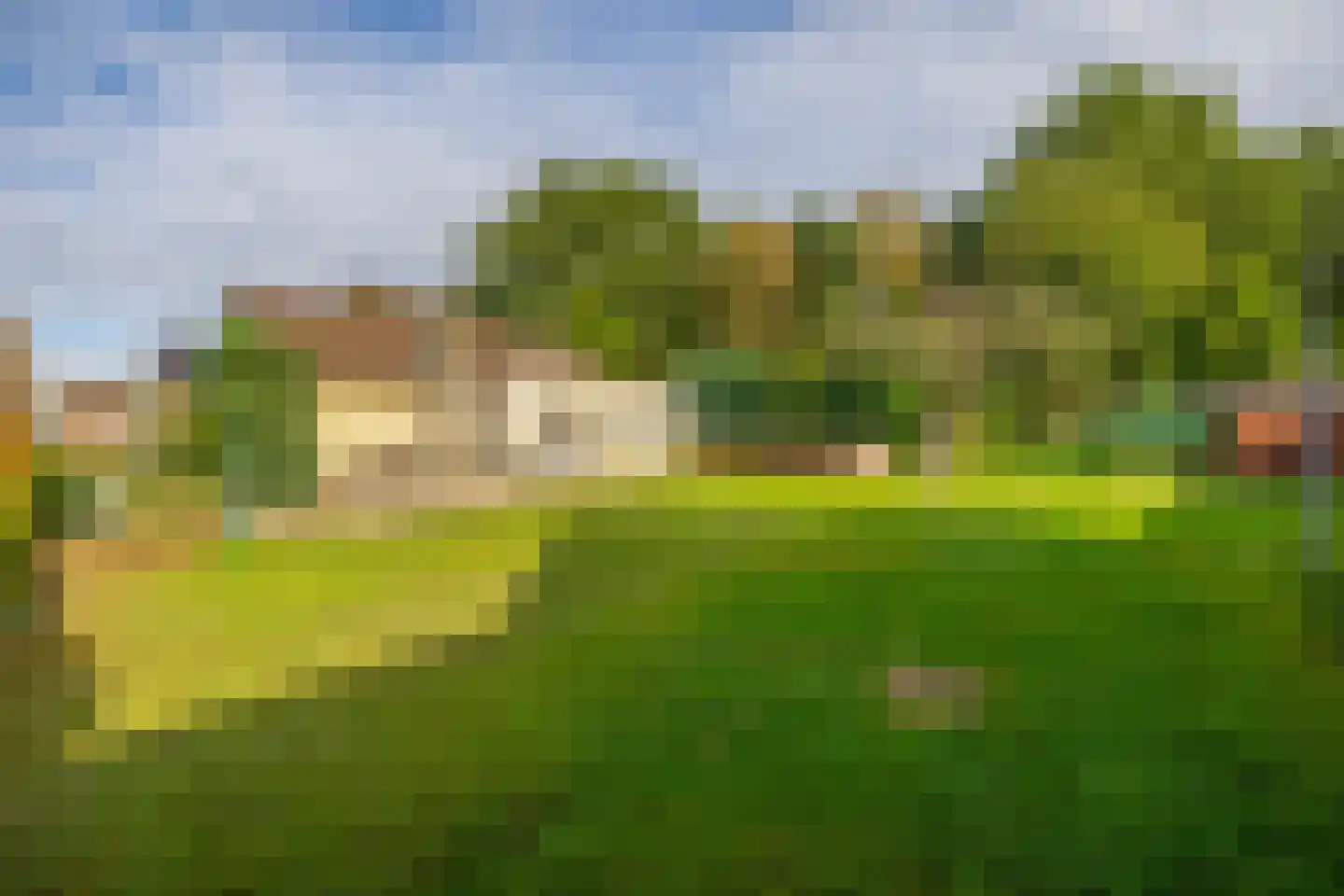 Vierpaardjes 20 Venlo thumbnail 34