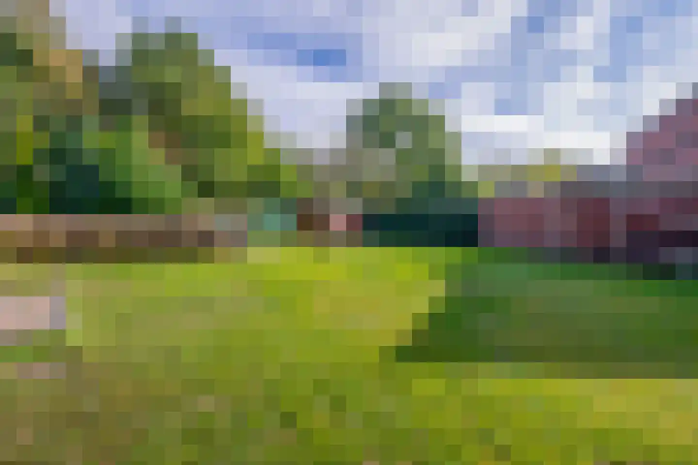Vierpaardjes 20 Venlo thumbnail 35