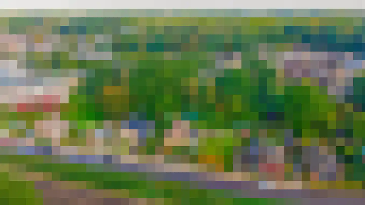 Vierpaardjes 20 Venlo thumbnail 37