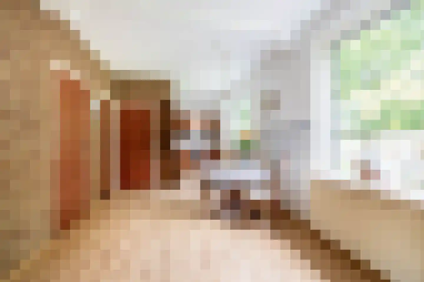 Vierpaardjes 20 Venlo thumbnail 4
