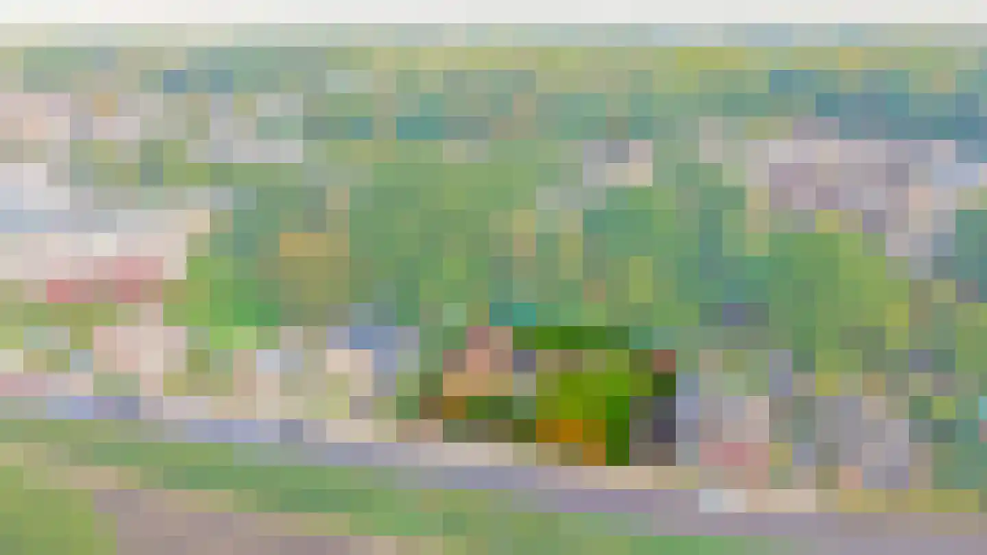 Vierpaardjes 20 Venlo thumbnail 5