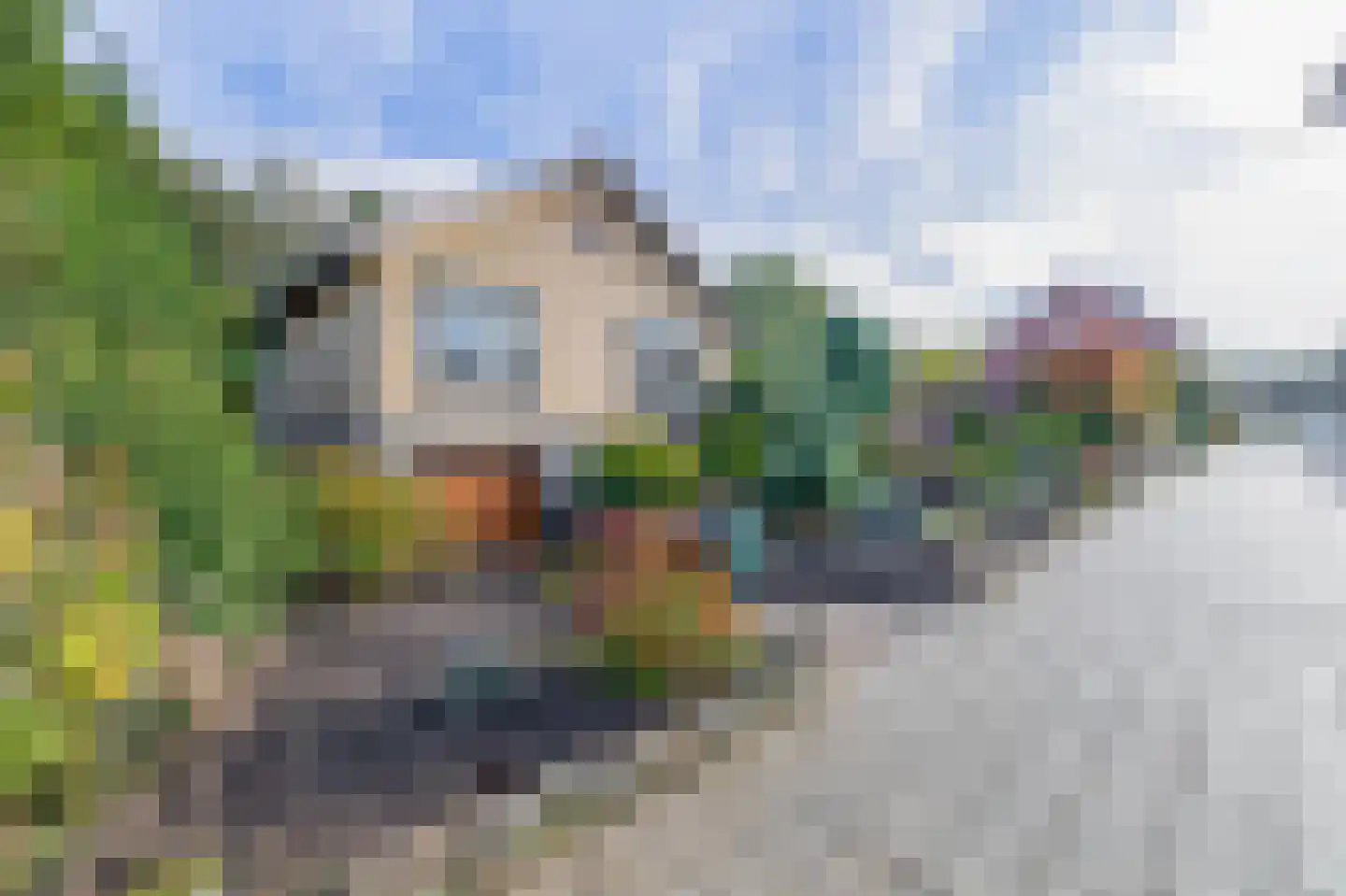 Vierpaardjes 20 Venlo thumbnail 6