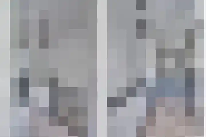 Vierpaardjes 7 Venlo thumbnail 19