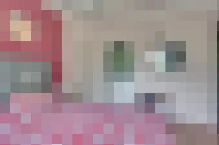 Vierpaardjes 7 Venlo thumbnail 22
