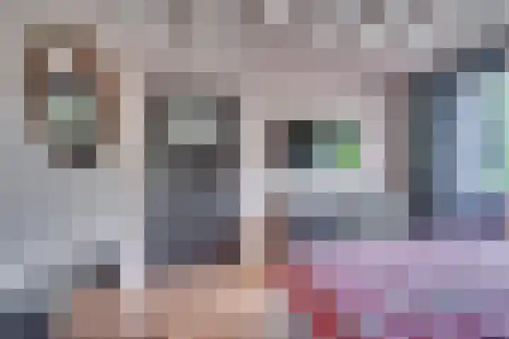 Vierpaardjes 7 Venlo thumbnail 23