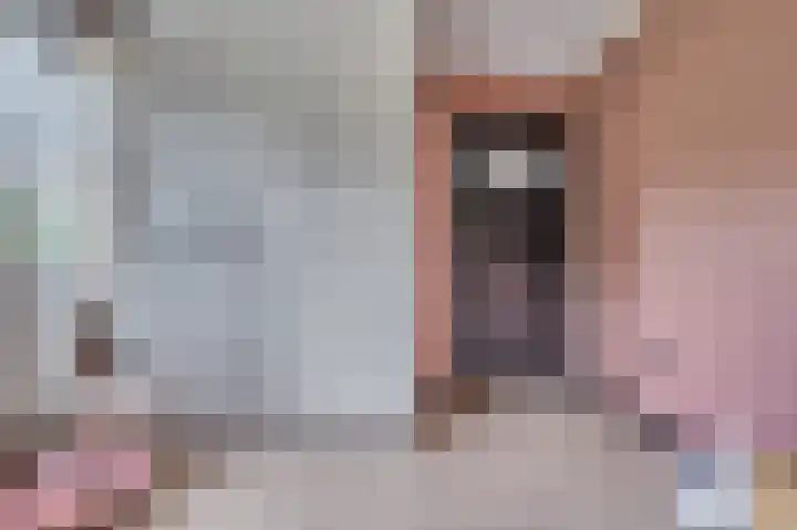 Vierpaardjes 7 Venlo thumbnail 27