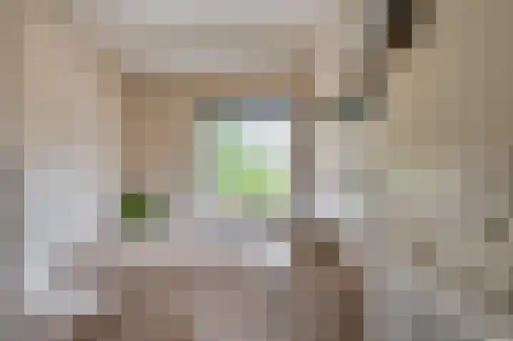 Vierpaardjes 7 Venlo thumbnail 28