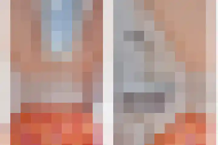 Vierpaardjes 7 Venlo thumbnail 36