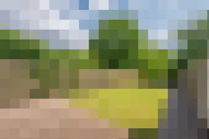 Vierpaardjes 7 Venlo thumbnail 39
