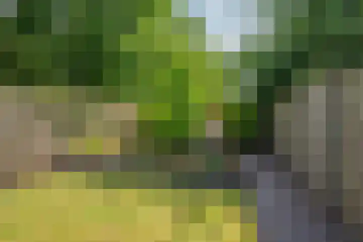 Vierpaardjes 7 Venlo thumbnail 40