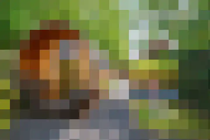 Vierpaardjes 7 Venlo thumbnail 41