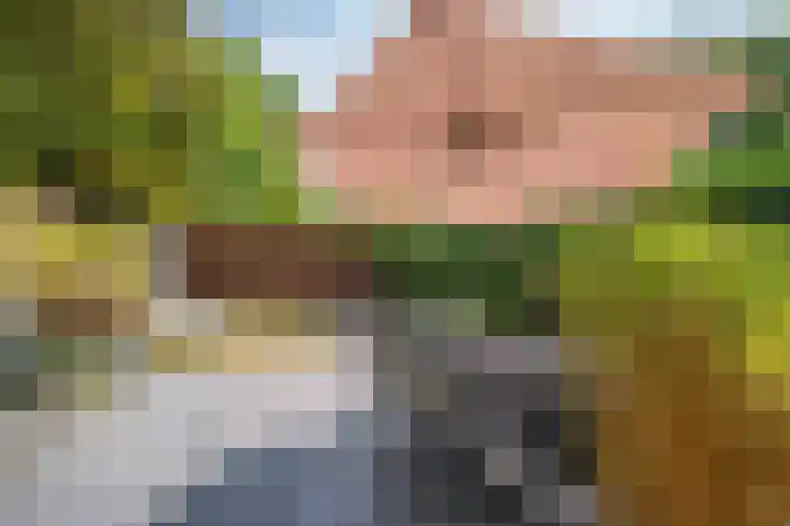 Vierpaardjes 7 Venlo thumbnail 43