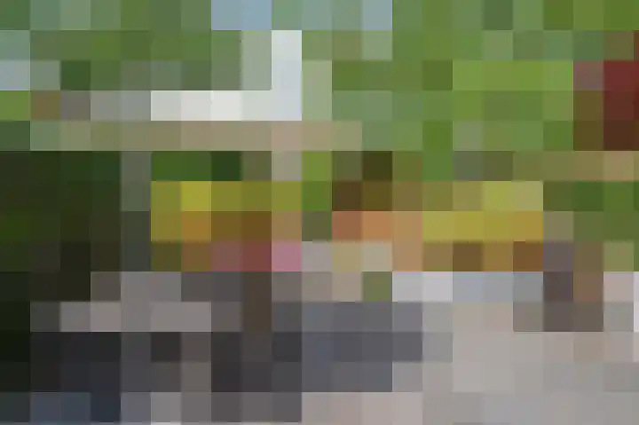 Vierpaardjes 7 Venlo thumbnail 45