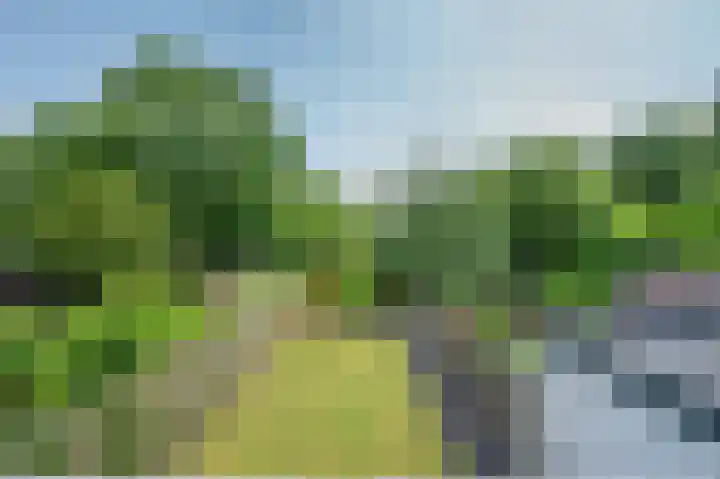 Vierpaardjes 7 Venlo thumbnail 48