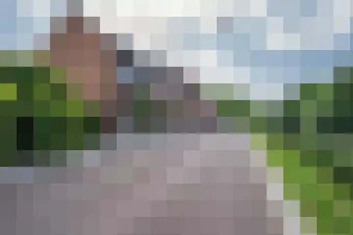 Vierpaardjes 7 Venlo thumbnail 49