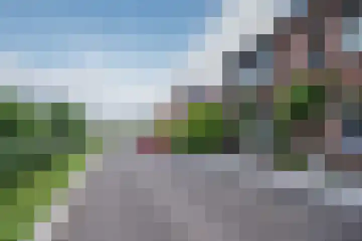 Vierpaardjes 7 Venlo thumbnail 50