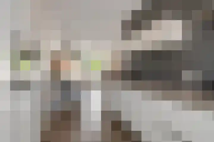 Vierschaar 12 Druten thumbnail 13