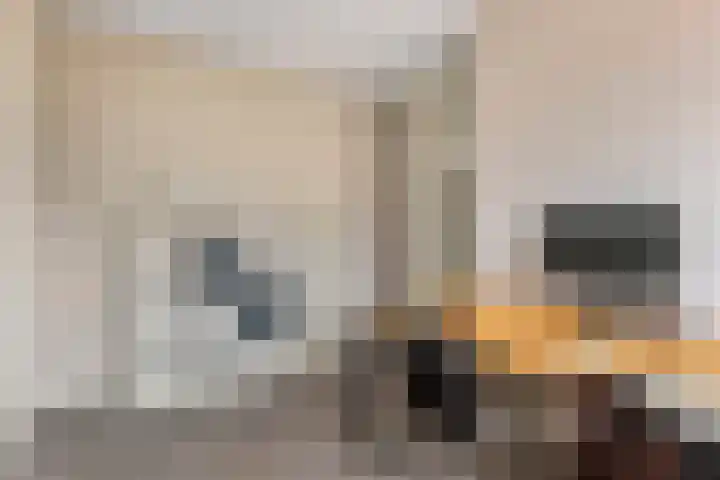 Vierschaar 12 Druten thumbnail 25