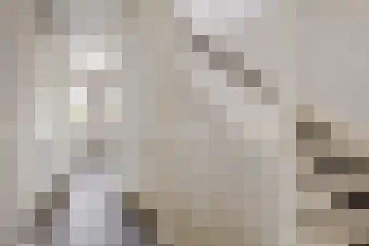 Vierschaar 12 Druten thumbnail 26