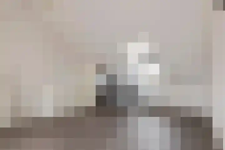 Vierschaar 12 Druten thumbnail 27