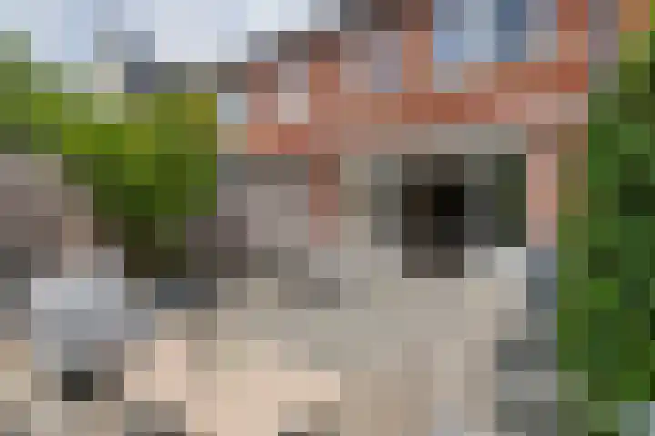Vierschaar 12 Druten thumbnail 29