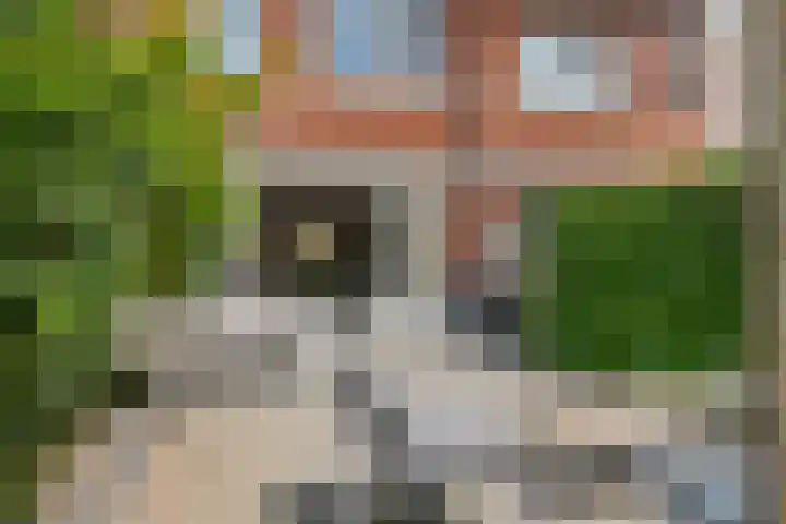 Vierschaar 12 Druten thumbnail 30