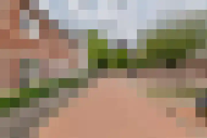 Vierschaar 12 Druten thumbnail 36