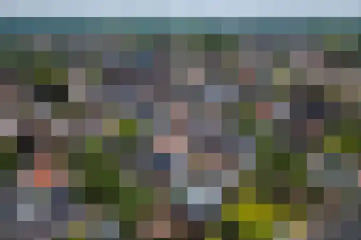 Vierschaar 12 Druten thumbnail 39