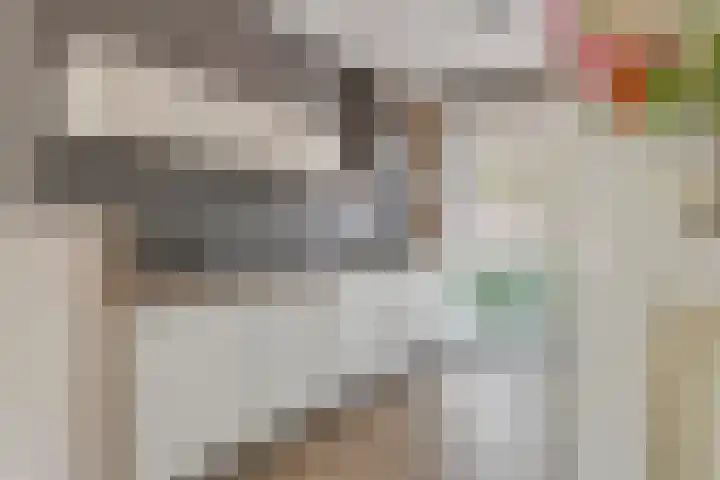 Vierschaar 12 Druten thumbnail 4