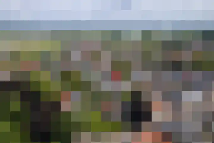 Vierschaar 12 Druten thumbnail 40