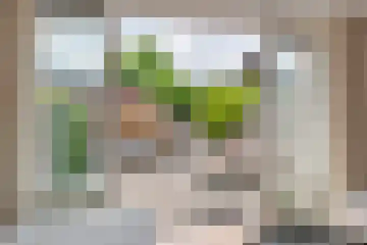 Vierschaar 12 Druten thumbnail 6