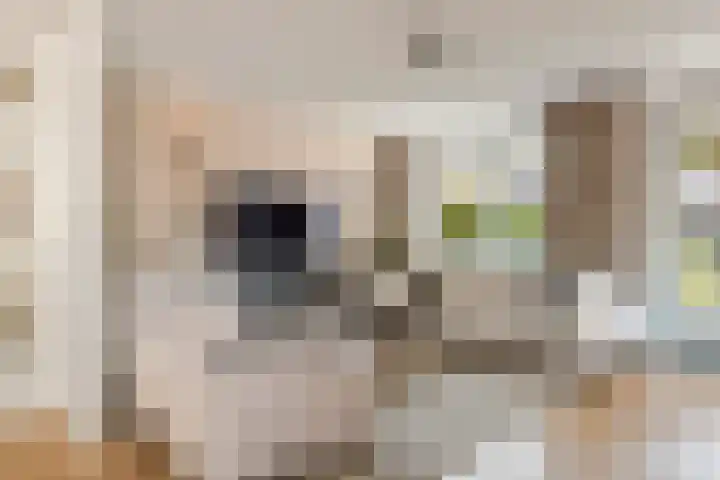 Vierschaar 18 Druten thumbnail 12