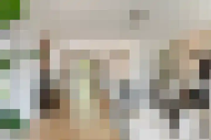 Vierschaar 18 Druten thumbnail 13