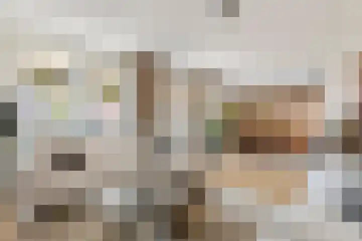 Vierschaar 18 Druten thumbnail 14