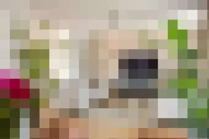 Vierschaar 18 Druten thumbnail 15