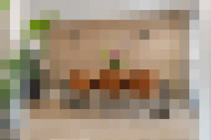 Vierschaar 18 Druten thumbnail 17