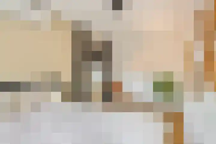 Vierschaar 18 Druten thumbnail 19