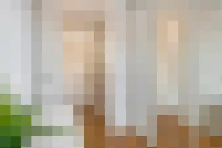 Vierschaar 18 Druten thumbnail 26