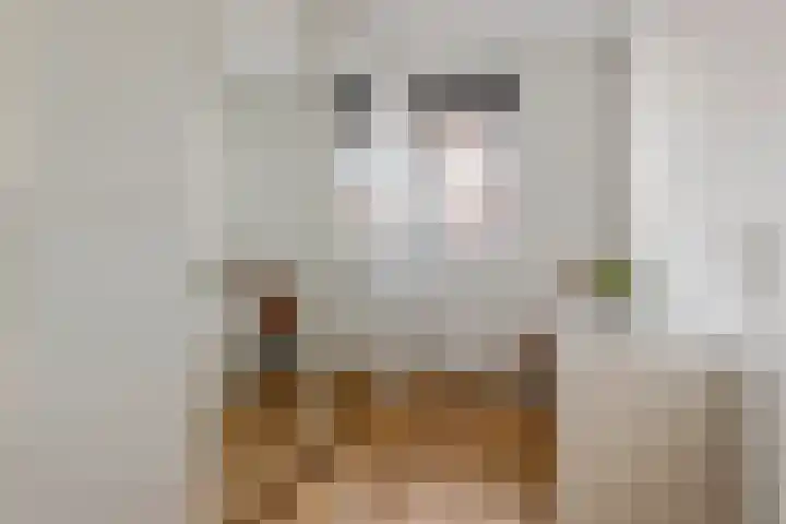 Vierschaar 18 Druten thumbnail 27