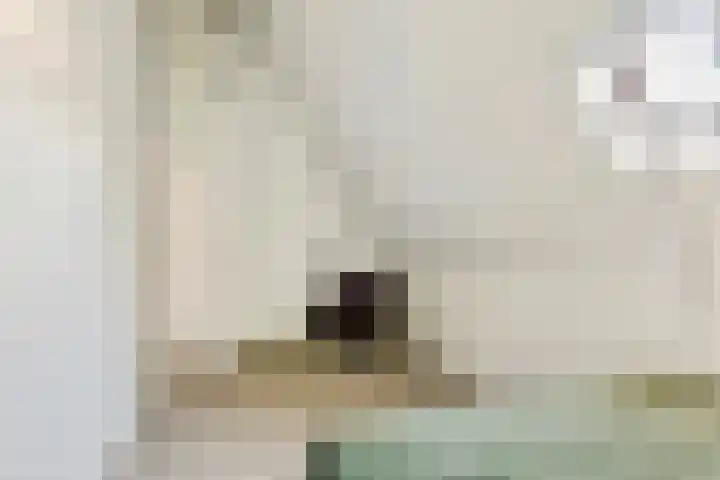 Vierschaar 18 Druten thumbnail 32